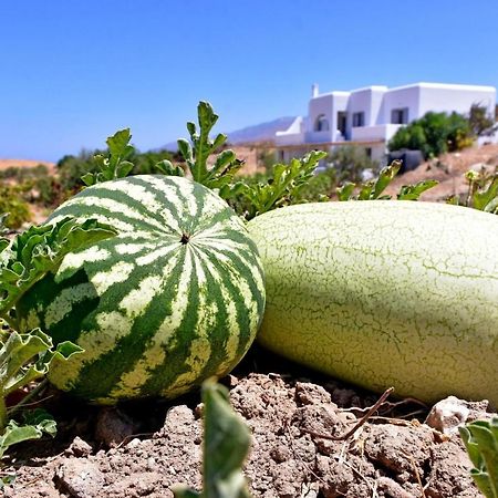 Relaxia Estate Naxos Apartman Galíni Kültér fotó