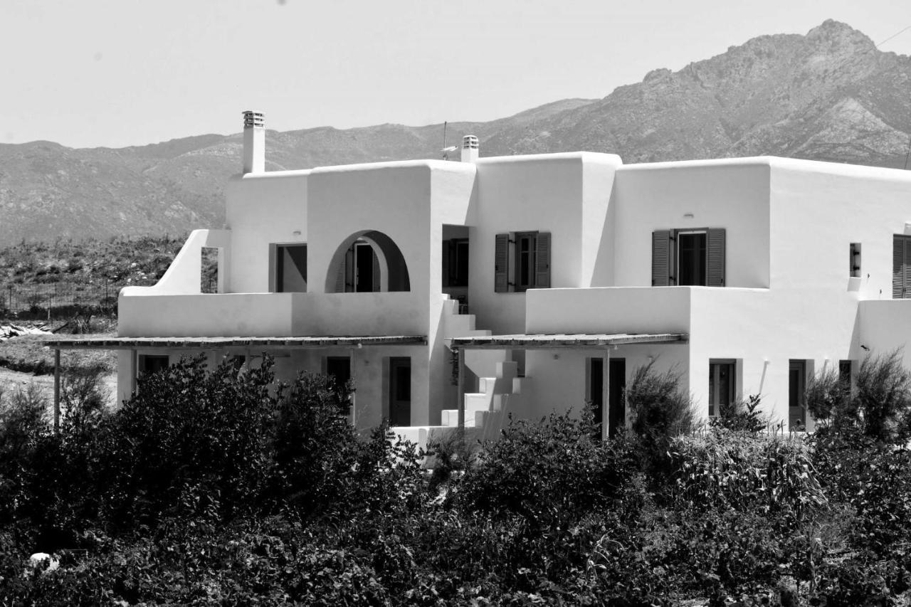 Relaxia Estate Naxos Apartman Galíni Kültér fotó