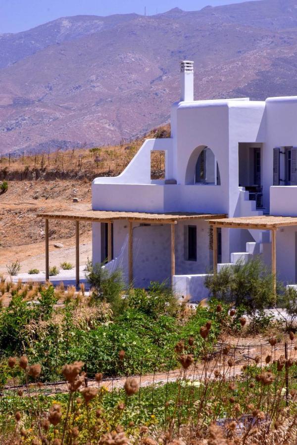 Relaxia Estate Naxos Apartman Galíni Kültér fotó